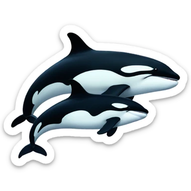 killer whales sticker