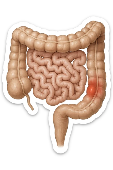 intestino anatomico realistico con red spot di infiammazione sticker
