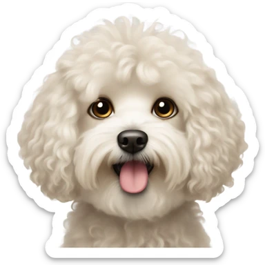 maltipoo sticker
