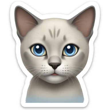 Thai breed cat with a light cream body, dark gray face, ears, and paws. Short fur, sharp ears, and striking light blue eyes with an intense gaze. sticker