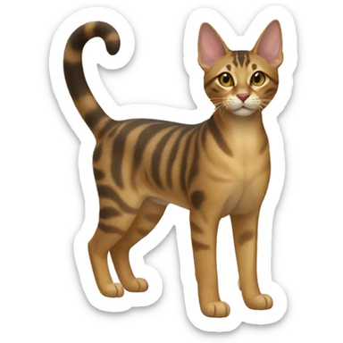 Sokoke Cat Breed Full Body sticker