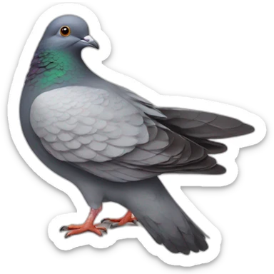 Pigeon wearing à haut sticker