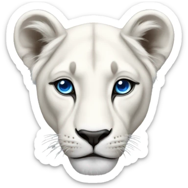 white lioness no mane with blue eyes sticker