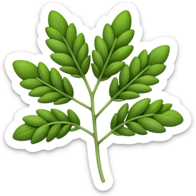 thyme herb sticker