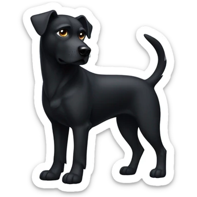 Blac dog sticker