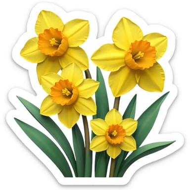 Yellow daffodils sticker