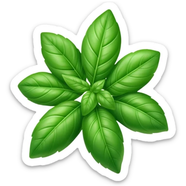 Fresh green basil herb leaf sticker