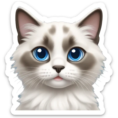 Ragdoll kitten with blue eyes and darker face and ears but bright white paws sticker