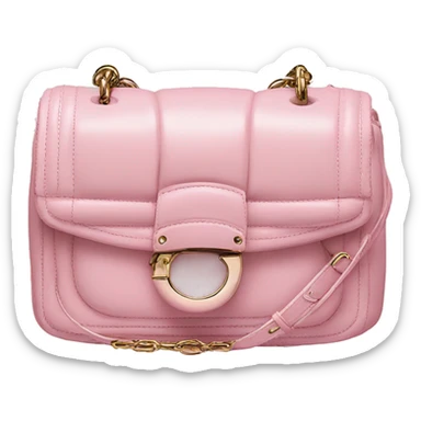 Dior bag pink sticker