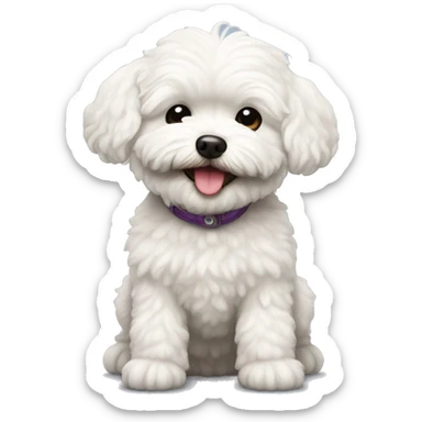 White dog Maltipoo wity smile  sticker