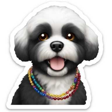 One Small furry Black bichon with one  colorful bead necklaces with brown harness sticker