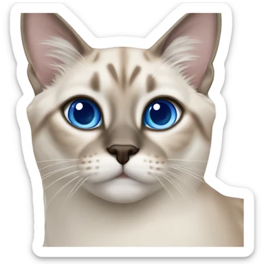 Lynx point Siamese cat with blue eyes sticker