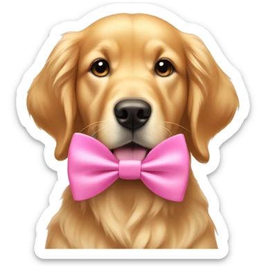 Golden retriever wearing a pink bow on his ear and a pink bow tie sticker