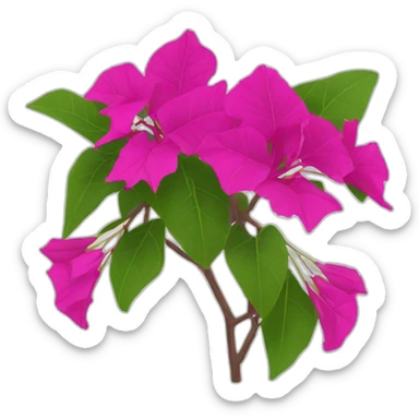 bougainvillea flowers sticker
