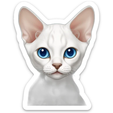 White devon rex cat with blue eyes sticker