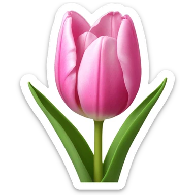 pink tulip sticker