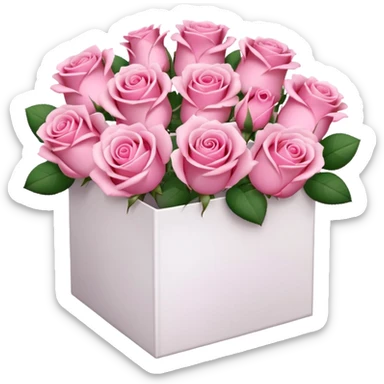 bouquet of pink 30 roses in a white box，no leaves sticker