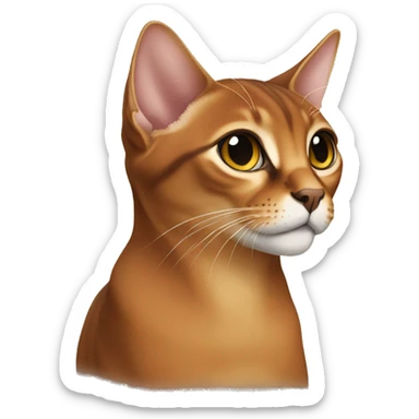 Abyssinian cat sticker