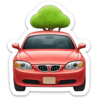 car on a car sticker