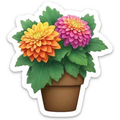 Dahlias plant  sticker