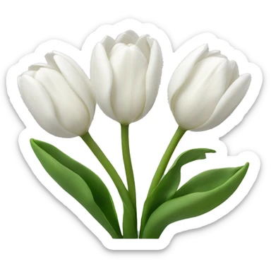 White tulips  sticker