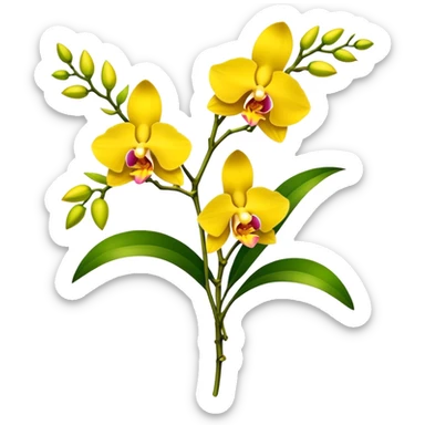 big bouquet yellow Dendrobium Orchid flower, stem, leaf sticker