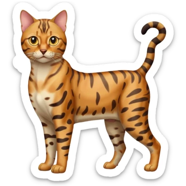 full body of bengal cat, front view sticker