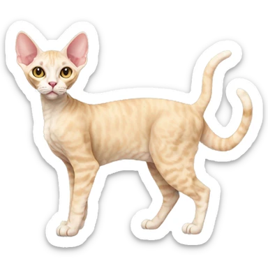 Devon Rex Cat Full Body sticker