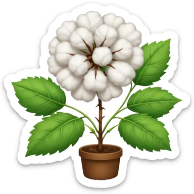 A cotton plant sticker