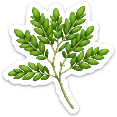 thyme herb sticker