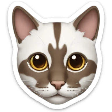european cat with dark pinstripe tabby color and dark brown wool with white breasts and brown nose sticker
