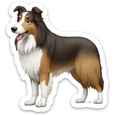 Collie sticker