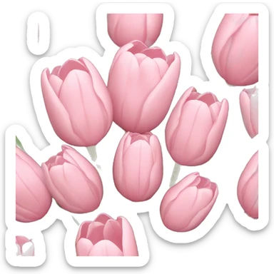 Light pink tulip bouquet  sticker