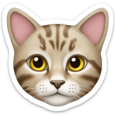 Marni fashionable cat sticker