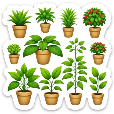 plants culture. Transparent background sticker