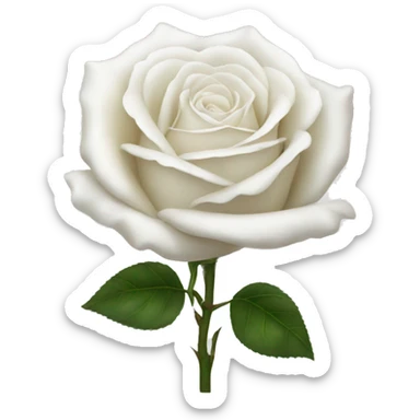 White rose sticker
