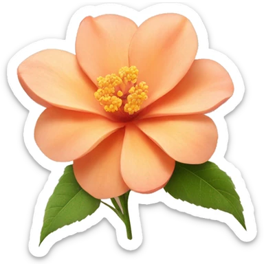 Peach colour Flower🌺 sticker