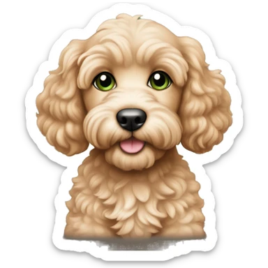 Cute apricot cockapoo puppy with green eyes sticker