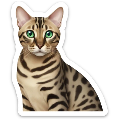 Seal Bengal cat with Blue eyes with a charcoal Sepia bengal cat with Green eyes sitting  sticker