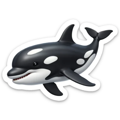 killer whale sticker