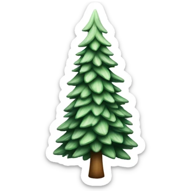  actual white fir christmas tree isolated.  sticker