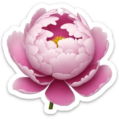 Peony sticker
