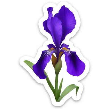 Violet iris flower sticker