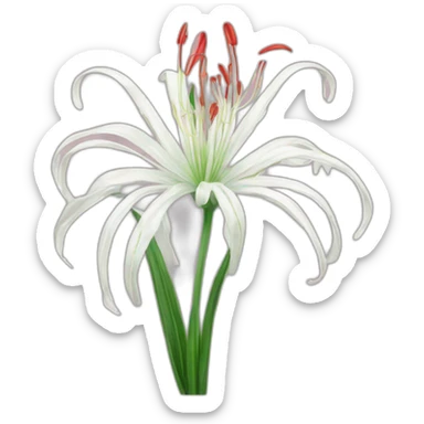Spider lily flower sticker