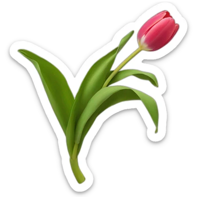 Tulipán sticker
