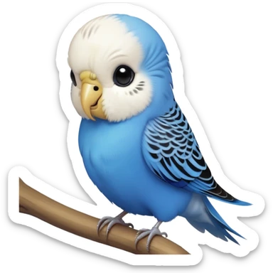 cinematic-cute-blue-budgie-portrait-emoji,-head-tilted-playfully-and-inquisitively,-featuring-a-brilliant-blue-feathered-fur-and white and black feathered face-with-a-natural-sheen,-round,-sparkling-dark-eyes-filled-with-curiosity,-simplified-yet-irresistibly-adorable sticker