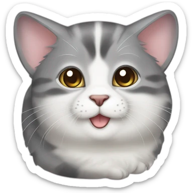 Chinchilla cat sticker