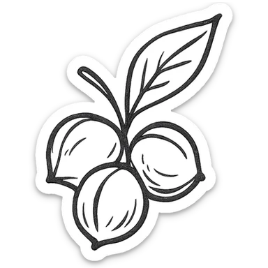 Guaraná berries, artistic and minimalistic sticker
