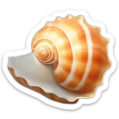 sea shell sticker