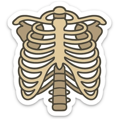 flat toon style skeleton ribs sticker